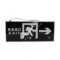 东君 安全出口 单面安口 DJ-01B 3W 220V