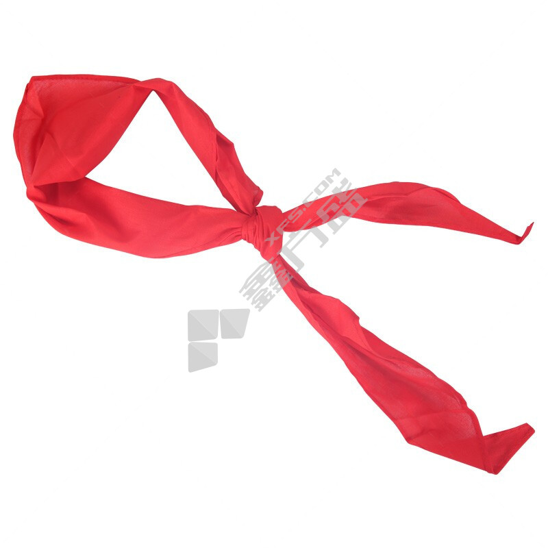 晨光 M&G 红领巾 ASCN9523 ASCN9523 1条/包