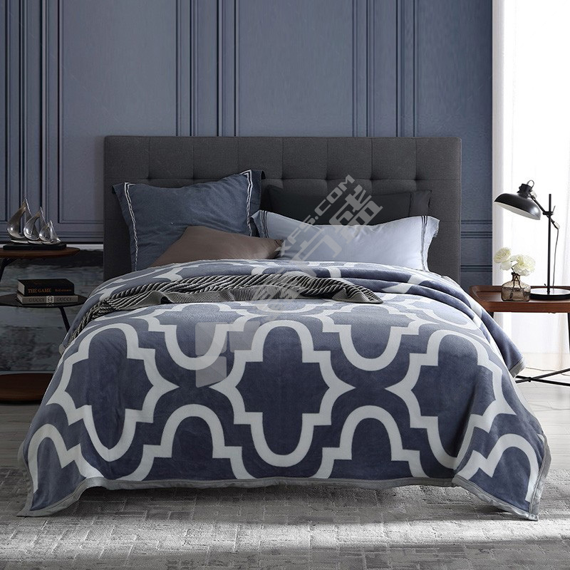 戴洛伦 瑞思哲法兰绒毯  DRON-TZ3206 随机 四季