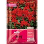 串红 5kg/袋 高杆 红色  一二年生