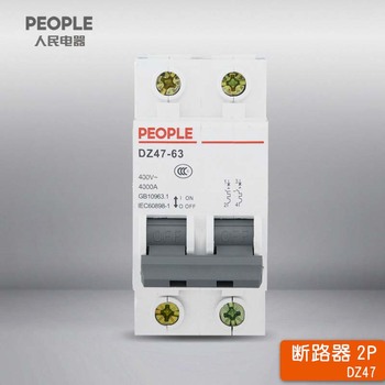 人民电器 中国人民 电器微型断路器DZ47-63系列2P DZ47-63 C63 2P(透明壳)