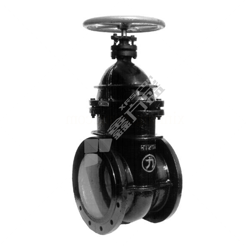 力 铜杆法兰闸阀 Z45T-10 DN250 PN10