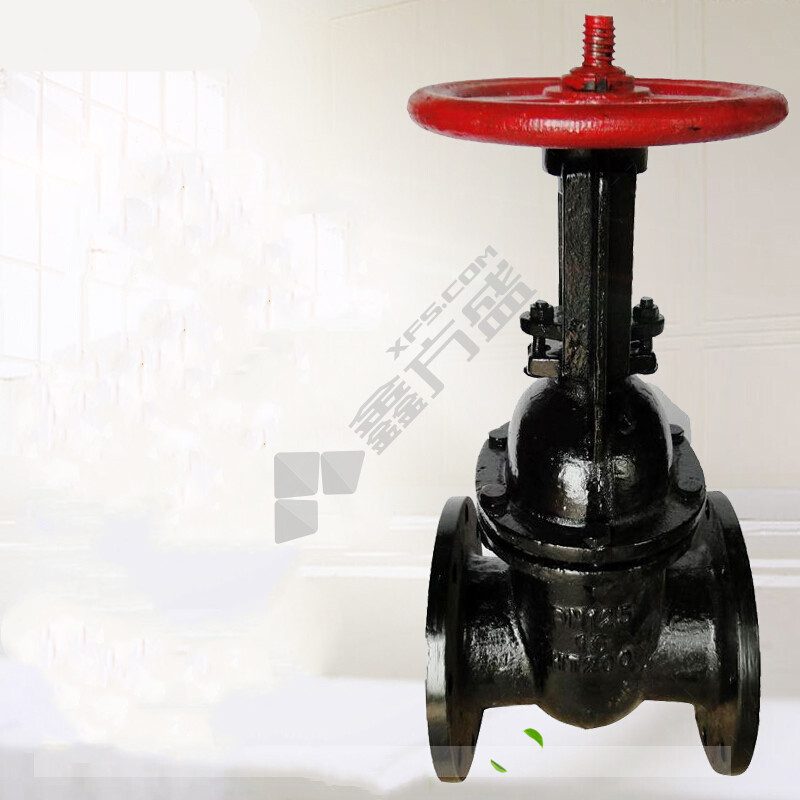 大站 钢杆铁口铸铁法兰明杆闸阀