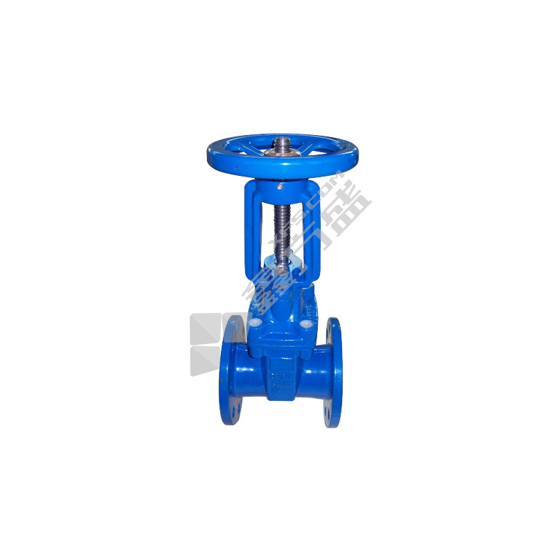 力 大站 铸铁法兰明杆闸阀铜杆