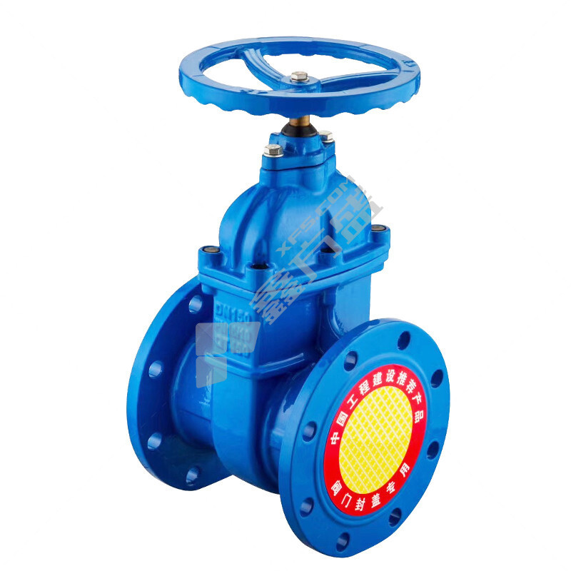 大站 铸铁弹性座封法兰暗杆闸阀 重体