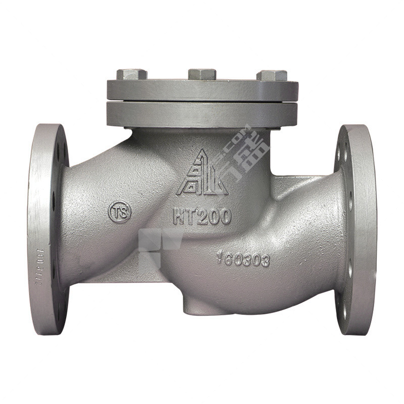 Alpine cast iron flange check valve H41F