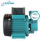 利欧 微型旋涡泵25X系列 25XQm50-0.9m3/h-11m-0.11KW /