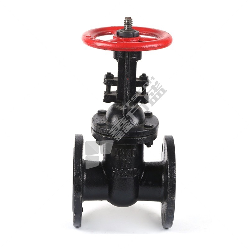 天才 铸铁法兰明杆闸阀