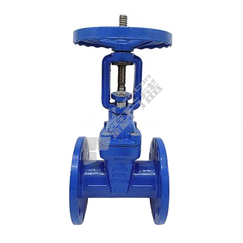 天才 铸铁法兰软密封明杆闸阀