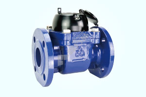 益都 螺翼冷水表 可拆式/WPH