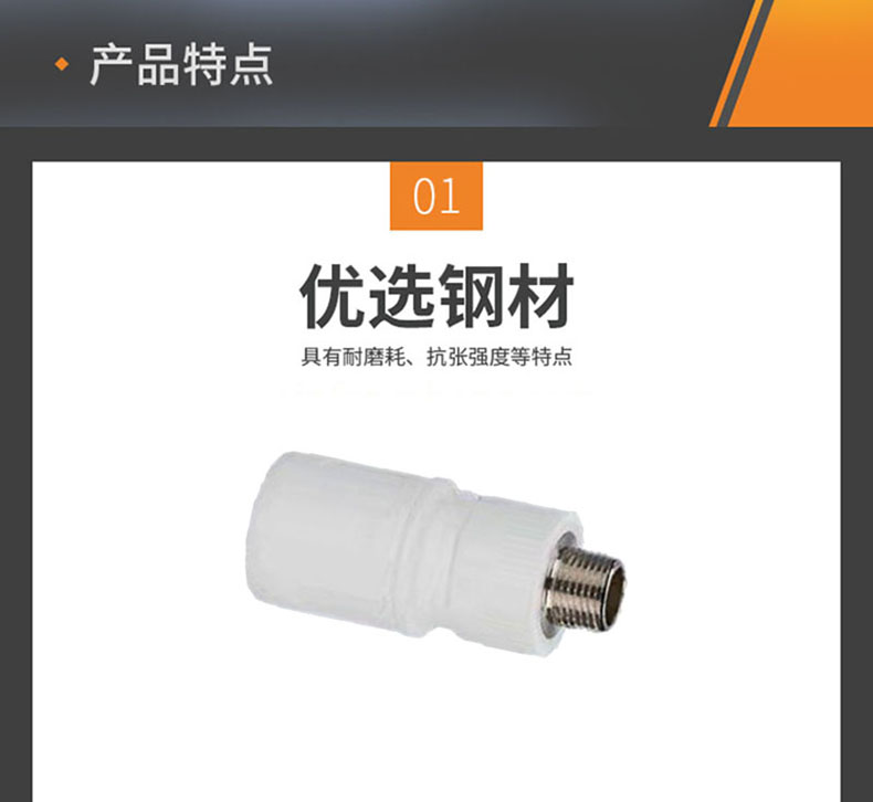 法螺貝 41Ow4t2ehlL.jpg_BO30,255,255,
