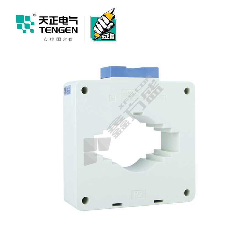 天正电气 BH-0.66互感器1.0级 BH-0.66 40 10/1 10匝 1.0级