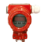 威斯克 沟槽热导式流量开关 DN100 1.6Mpa