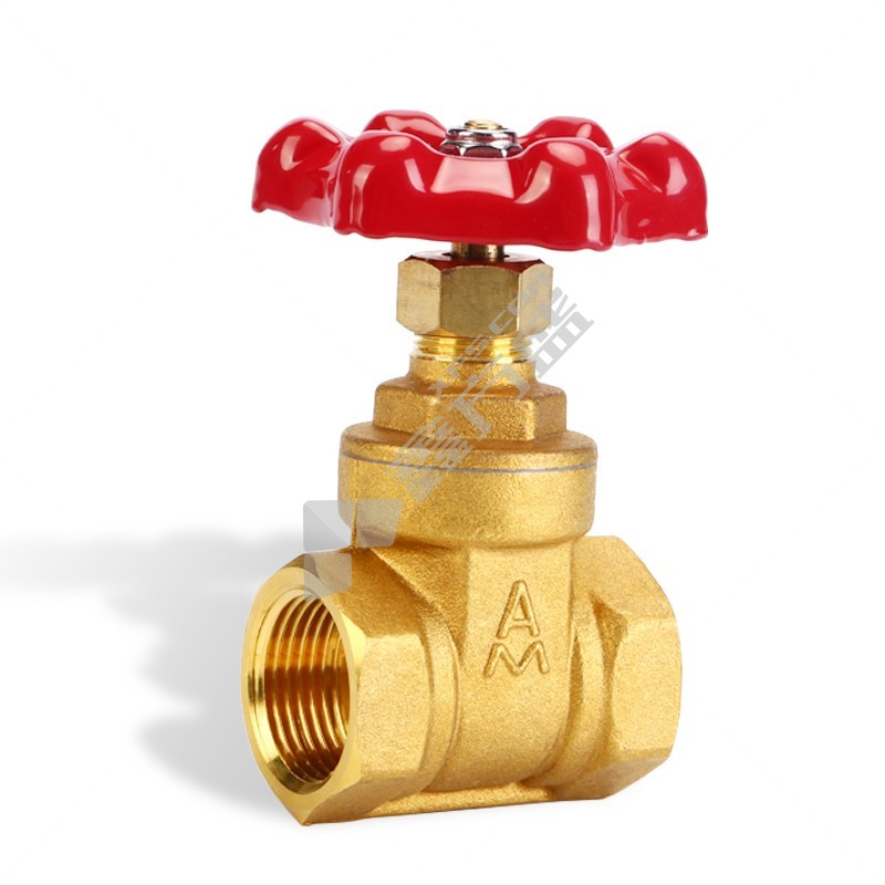 埃美柯AMICO 8137不锈钢丝扣磁性带锁闸阀