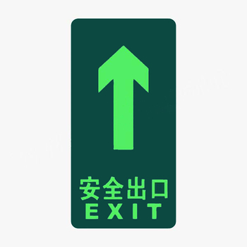 标识牌专家 自发光疏散标识消防及应急标识 QSB011 150×300mm 安全出口