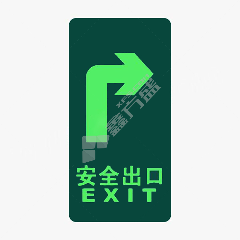 标识牌专家 自发光疏散标识消防及应急标识1 150×300mm QSB014 安全出口往右