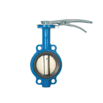 埃美柯 A802B 铸铁对夹蝶阀 DN65 D71X-16Q PN16