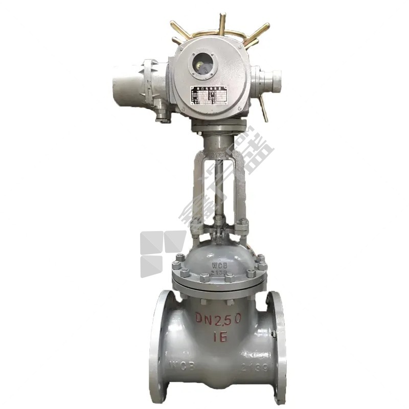 远大 铸钢电动闸阀B型 整机 江苏兰阀Z941H-40