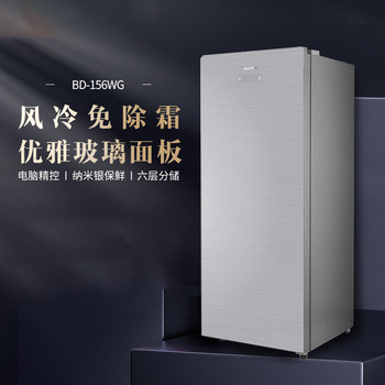 澳柯玛 立式冰柜BD-156WG 156升