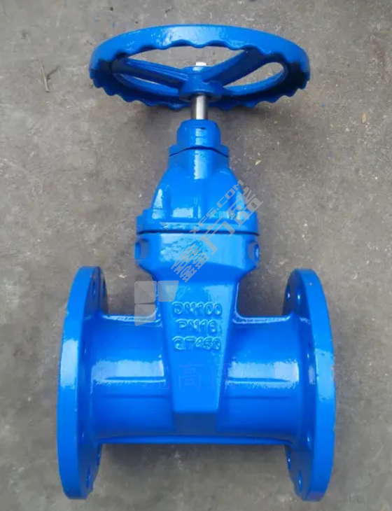 铭通远洋 铸铁法兰软密封暗杆闸阀