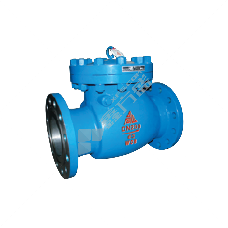 高山 铸铁法兰止回阀H44T