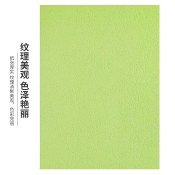 天章 新绿皮纹纸封面纸A4 100张/包 浅绿色 A4