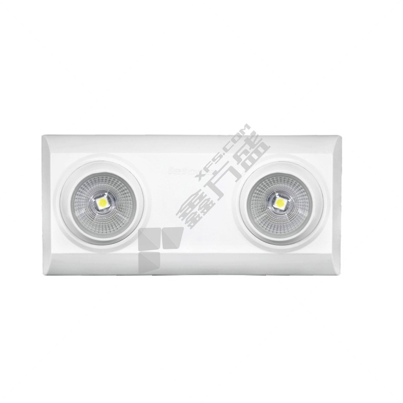 绿锋 集电集控 应急双头灯 E2006