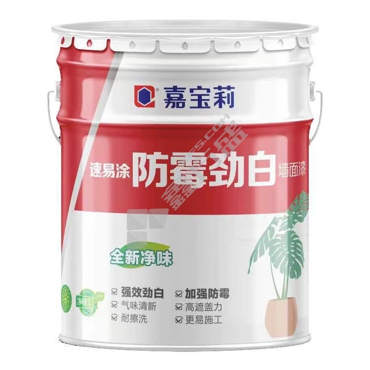 嘉宝莉 内墙净味速易涂防霉劲白乳胶漆