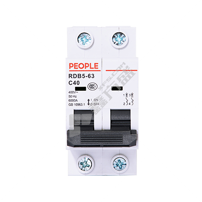 人民电器 小型断路器RDB5-63系列2P RDB5-63 C63 2P(英文标牌 蓝色手柄)
