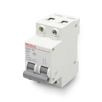 人民电器 小型断路器DZ47-63 2P DZ47-63 C25 2P(英文标牌)