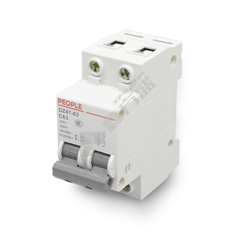 人民电器 小型断路器DZ47-63 2P DZ47-63 C25 2P(英文标牌)