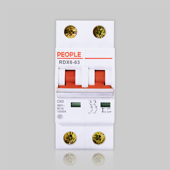 人民电器 小型断路器RDX6-63 2P RDX6-63 C32 2P(英文标牌)