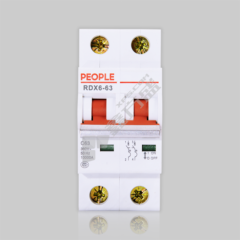 人民电器 小型断路器RDX6-63 2P RDX6-63 C32 2P(英文标牌)