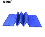 安赛瑞 310746 应急折叠防潮垫 20mm*190mm*80cm/蓝色 310746