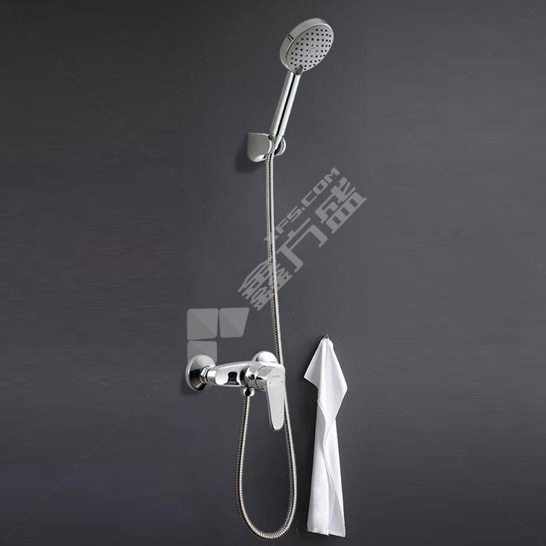 箭牌手持花洒 两功能 含淋浴阀AG3606