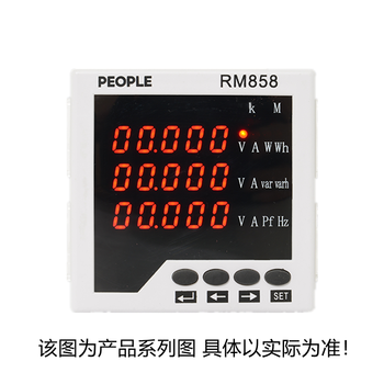 人民电器 多功能表RM858E-3S3系列 RM858E-3S3 250/5A