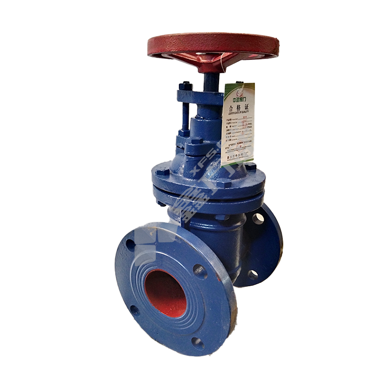 中远 铸铁法兰暗杆闸阀 重体