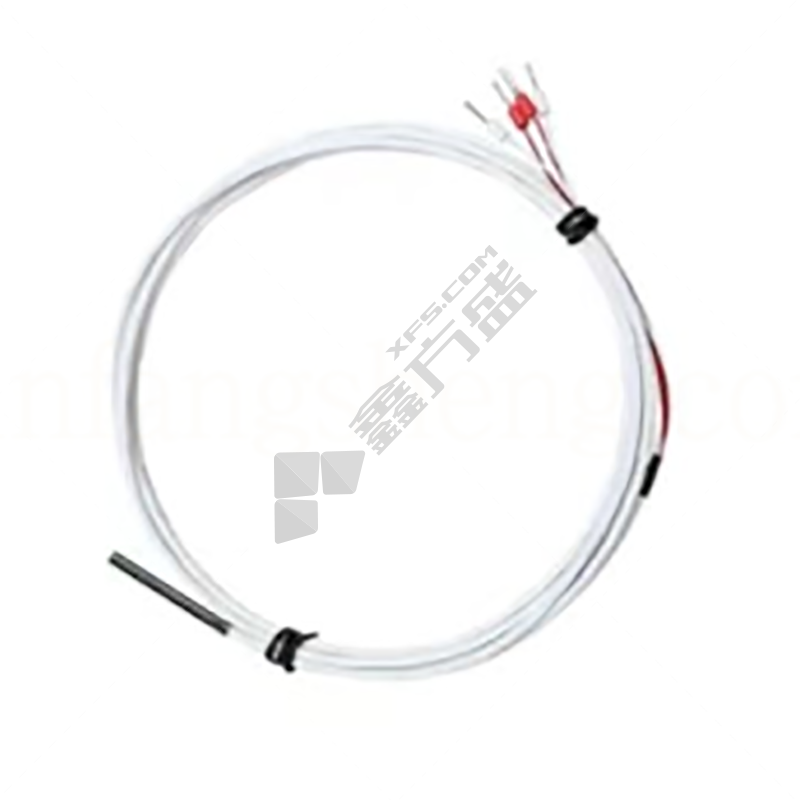 銳步 精密鉑電阻溫度計 RBCK-PT-30405