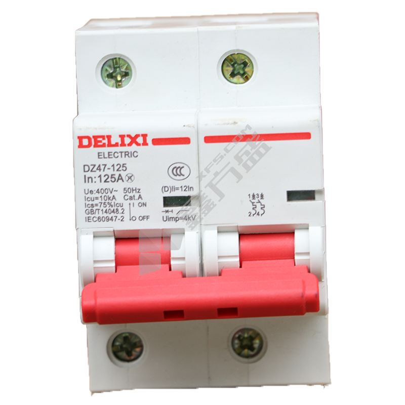 德力西DELIXI 小型大电流断路器DZ47-125系列2P DZ47-125 2P li(D) 100A