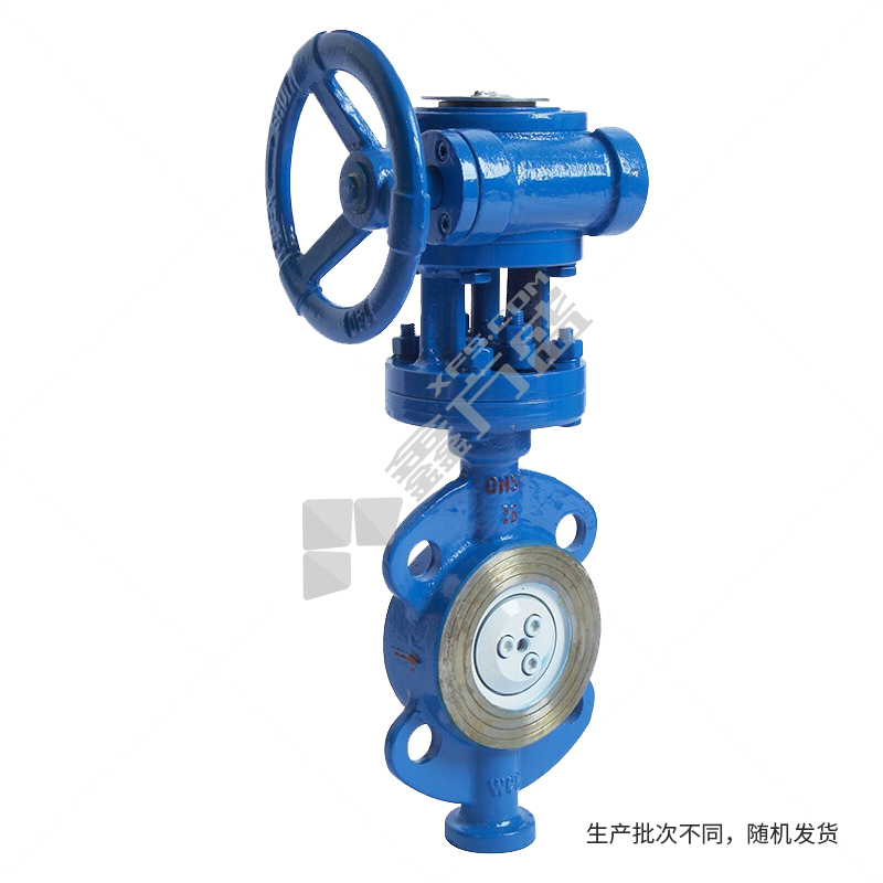 大站 铸钢蜗轮对夹蝶阀