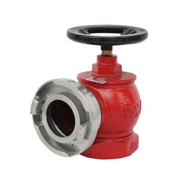 柳成 旋转型 室内消火栓 1.6Mpa SNZ65