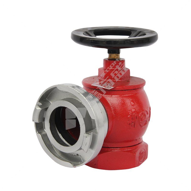 柳成 旋转型 室内消火栓 1.6Mpa SNZ65