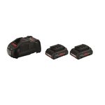 博世 电池充电器 ProCORE18V 4.0Ah 2电1充套装（安核） 1600A01B71