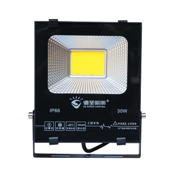 德圣 LED投光灯 金刚系列 100W 6500K IP66 180-265V
