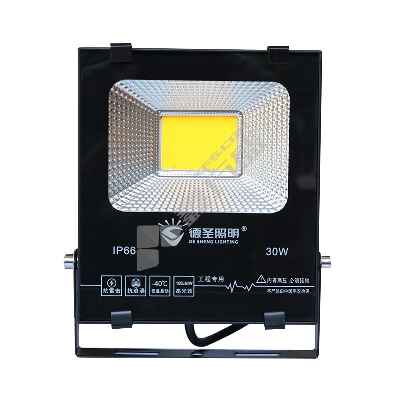 德圣 LED投光灯 金刚系列 100W 6500K IP66 180-265V