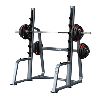 汉臣 DISCOVERG3001 深蹲架 DISCOVERG3001