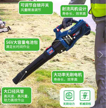 东成 充电式吹风机 DCQF56171 56V 5.0Ah 单电 无刷 00001410007