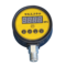 威斯克 智能压力开关表头 塑料头 1.6Mpa DTYL01B