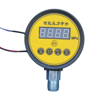 威斯克 智能压力开关表头 塑料头 1.6Mpa DTYL01B