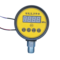 威斯克 智能压力开关表头 塑料头 1.6Mpa DTYL01B